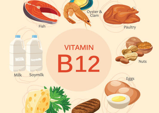 WellHealthOrganic Vitamin B12 - The Nutrition Source