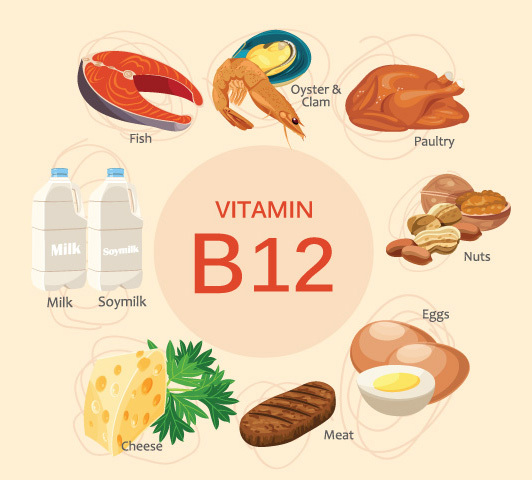 WellHealthOrganic Vitamin B12 - The Nutrition Source