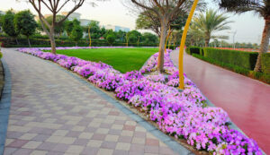 Al Khawaneej Pond Park